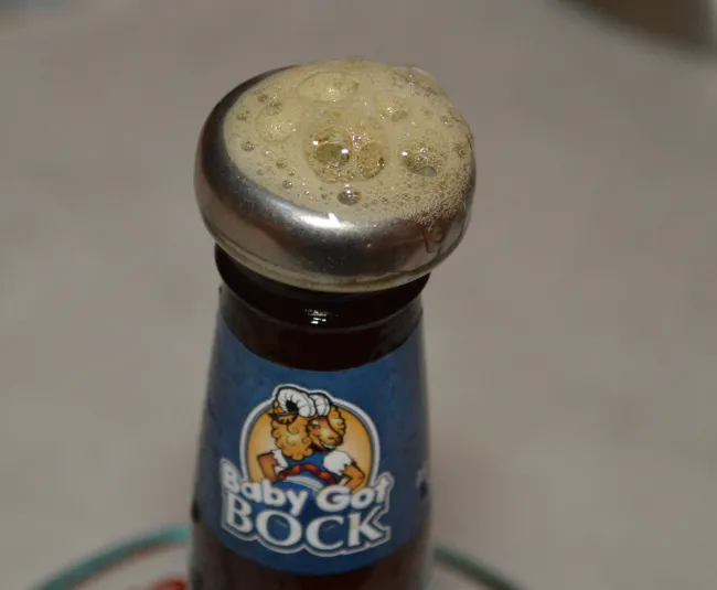 Kollea Stainless Steel Beer Chiller Beverage Cooler Stick Review 