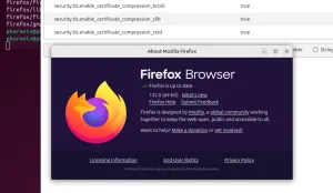 Firefox 132 Ready With Certificate Compression, Accelerated SVG Filter Primitives