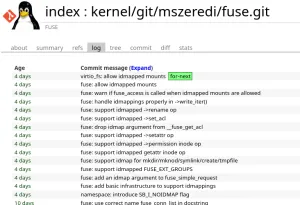 FUSE Adding IDMAPPED Mounts Support In Linux 6.12