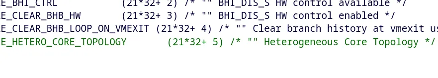 Heterogeneous Core Topology