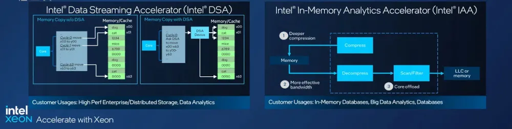 Intel DSA and IAA IP slide