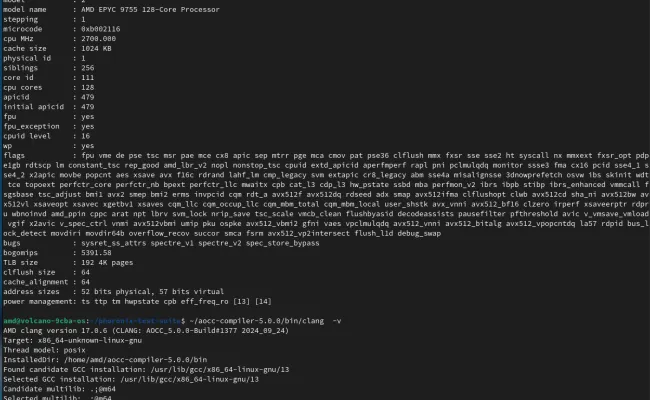 AMD EPYC 9755 with AOCC 5.0 compiler on Linux
