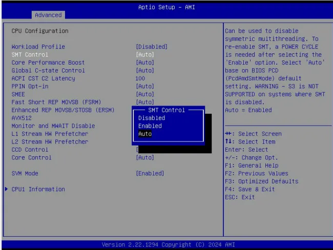 AMD EPYC Turin Supermicro BIOS SMT option