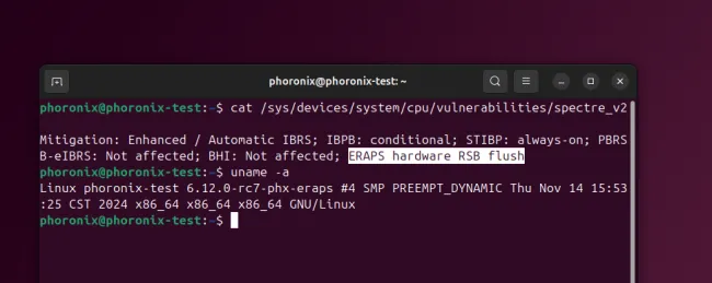AMD ERAPS Linux mitigation report