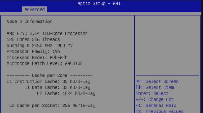 EPYC 9754 BIOS screen