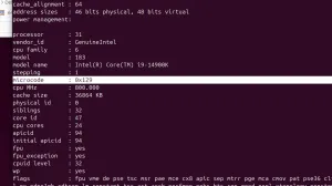 Intel Raptor Lake 0x129 CPU Microcode Performance Impact On Linux