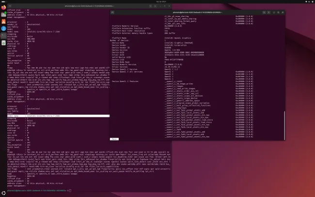 Lunar Lake OpenCL on Linux