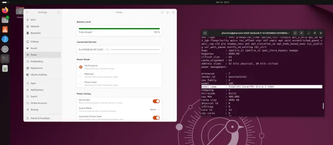 Intel Core Ultra 7 256V with Ubuntu 24.10 Linux