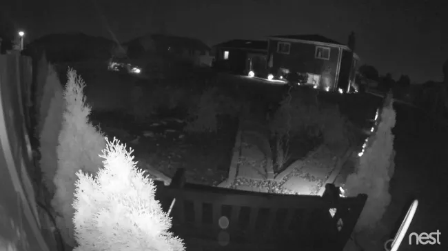 Nest cam store night vision quality